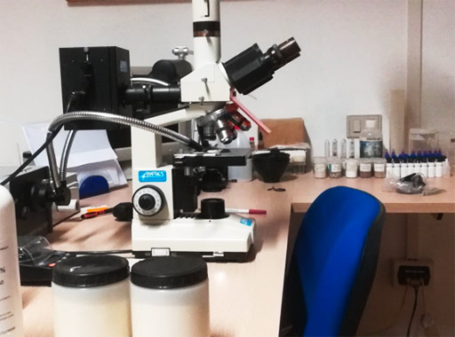 Laboratorio Analisi Avanzato